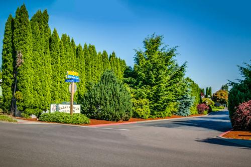 A street lined with trees and bushes.